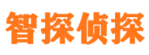 临沭市婚外情调查